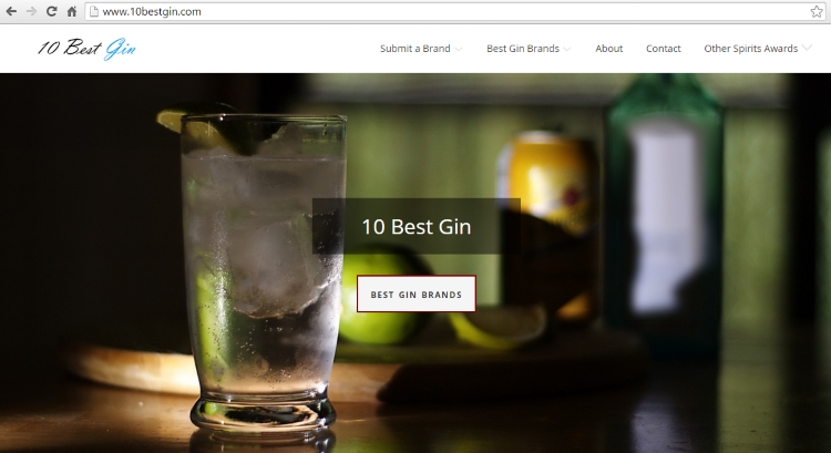 Alcohol Awards: 10 Best Gin